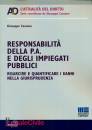 CASSANO GIUSEPPE, Responsabilit� della P.A. e impiegati pubblici