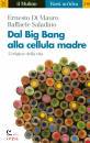 DI MAURO SALADINO, Dal big bang alla cellula madre