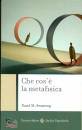 ARMSTRONG DAVID, Che cos