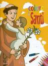 IL SICOOMORO, Coloro i santi