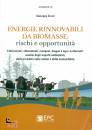 immagine di Energie rinnovabili da Biomasse Rischi Opportunit�