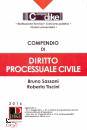 SASSANI - TISCINI, Compendio di diritto processuale civile