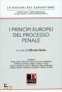 immagine di I principi europei del processo penale