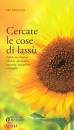 FRA BENIGNO, Cercate le cose di lass�