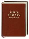 immagine libro