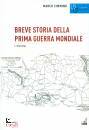 CIMMINO MARCO, Breve storia della prima guerra mondiale 1914-1916