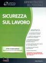 MUGNIECO BIAGIO, Sicurezza sul lavoro 2017