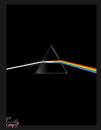 AA.VV., Pink floyd. their mortal remains