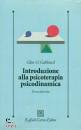 GABBARD GLEN O., Introduzione alla psicoterapia dinamica