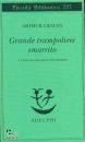 ARTHUR, CRAVAN, Grande trampoliere smarrito