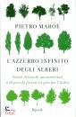 immagine di L