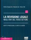 SERGIACOMO - CARI -., La revisione legale negli enti del terzo settore
