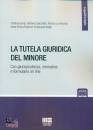 immagine di La tutela giuridica del minore
