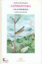 immagine di Lepidoptera Coleophoridae