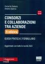 DE STEFANIS  QUERCIA, Consorzi e societ� consortili