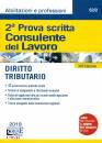 SIMONE, Consulente del lavoro 2� prova scritta
