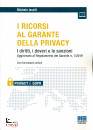IASELLI MICHELE, I Ricorsi al garante della privacy