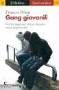 PRINA FRANCO, Gang giovanili Perch� nascono, chi ne fa parte ...