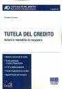 immagine di Tutela del credito Azioni e modalit� di recupero