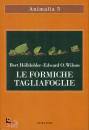 HOLLDOBLER - WILSON, Le formiche tagliafoglie La conquista della ...
