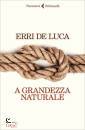 DE LUCA ERRI, A grandezza naturale
