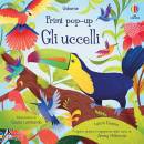 LAURA COWAN, Primi pop-up gli uccelli
