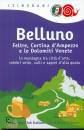 immagine di Belluno, Feltre, Cortina e le Dolomiti