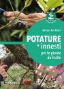 immagine di Potature e innesti per le piante da frutto