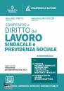 DEL PRETE ROSA, Compendio di diritto del lavoro, sindacale e ...