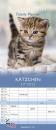 immagine di Family planner 19,5x45 cm kittens 2023