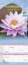immagine di Family planner 19,5x45 cm zen 2023