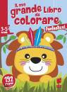 BUK BUK, Fantastico! Il mio grande libro da colorare