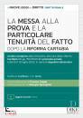immagine di La messa alla prova e la particolare tenuit� ...