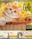 GOODMAN LISA, Calendario 2024 Pocket da tavolo Gatti