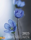 AAVV, Alpenblumen 2025. Calendario fiori delle Alpi