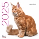 immagine di Gatti Calendario Da Muro 2025