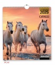 immagine di Calendario 2025 Cavalli