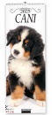 GOODMAN LISA, Calendario 2025 Cani  - Long