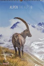 immagine libro