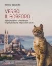 immagine di Verso il Bosforo A piedi da Roma a Costantinopoli