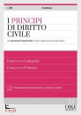 CARBONE - CARINGELLA, I principi del diritto civile Gli strumenti ...