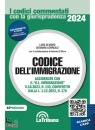 immagine di Codice dell