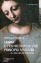 immagine di Maria e l