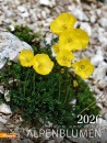 AAVV, Alpenblumen 2026. Calendario fiori delle Alpi