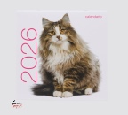 immagine di Gatti. Calendari da muro 2026
