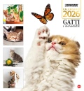 immagine di Gatti e marachelle. calendario 2026