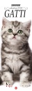 immagine di Gatti. calendario 2026.
