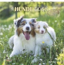 immagine di Calendario 2026 Hunde Dogs