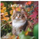 immagine di Calendario 2026  Katzen Cats - Calendar 2026
