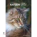 immagine di Calendario 2026  Katzen Cats